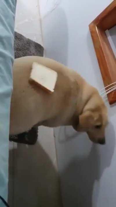 So close and yet so far