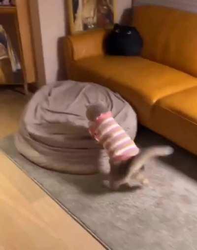 Ready for the world cup