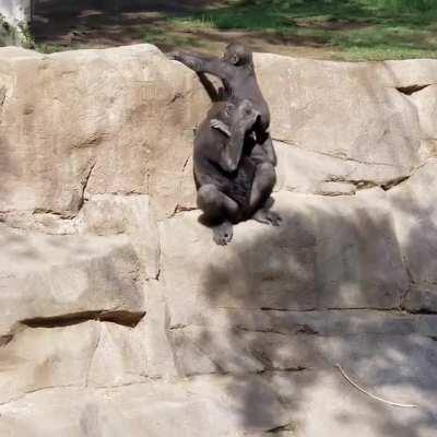 Actual representation of one co-worker helping another..