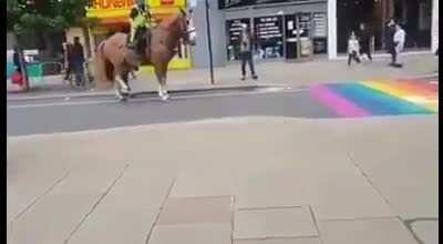 Based anti gay horse