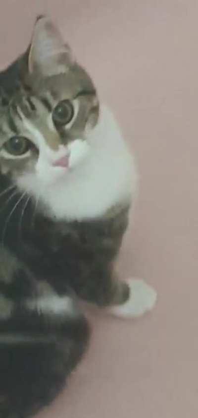 Walked in on Sushi in the bath... her response was unexpected.