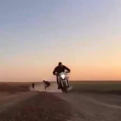 Why russian women live MUCH longer