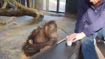 riczer viendo un truco de magia