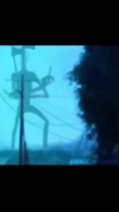 SIREN HEAD BALLERINO