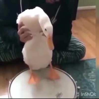 He is Beautiful 😍