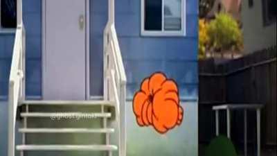 Darwin what the hell man?