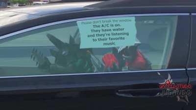 Please don't break the window