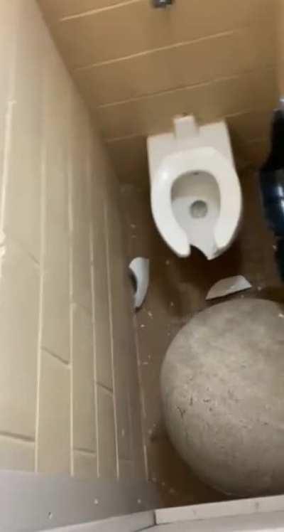 whatever you do don't touch it