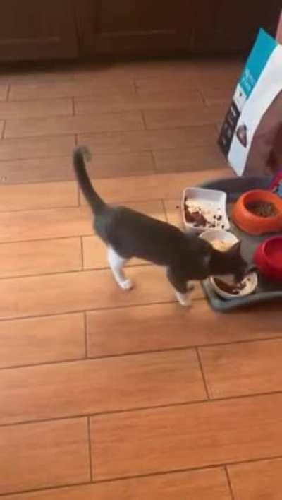 What’s in that breakfast?