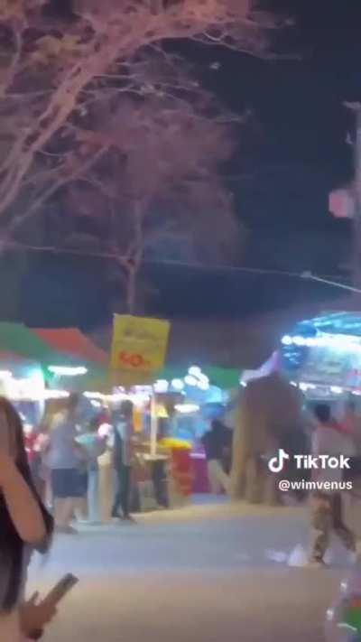 Elephant injures festival goers while trying to flee illegally set off fireworks in Thailand 