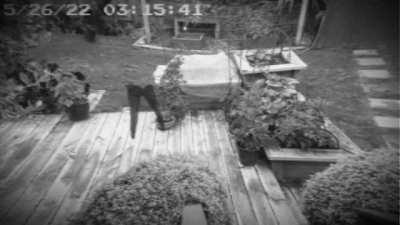 I caught a ghost on my motion capture.