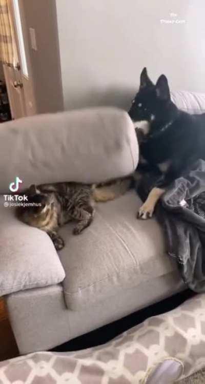 Setting a breakpoint on C@