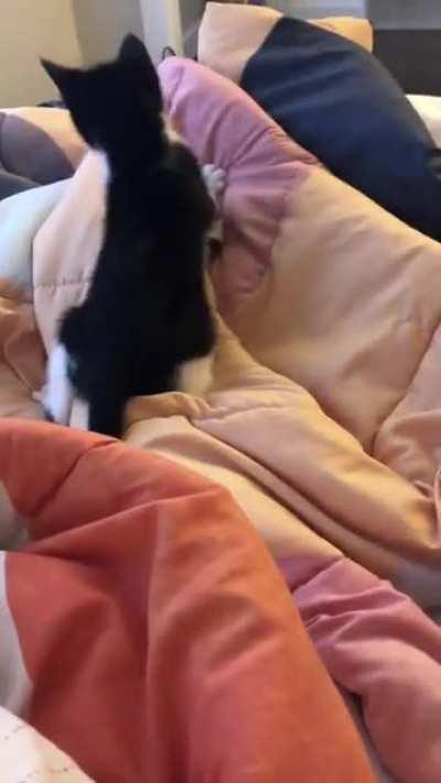 frankie's fight with the greeble final boss