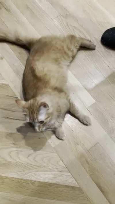 Hopper scares at just about anything