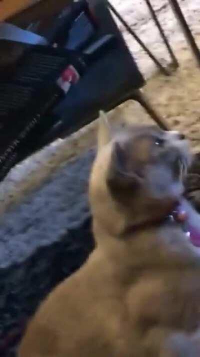 Calling to the mothership