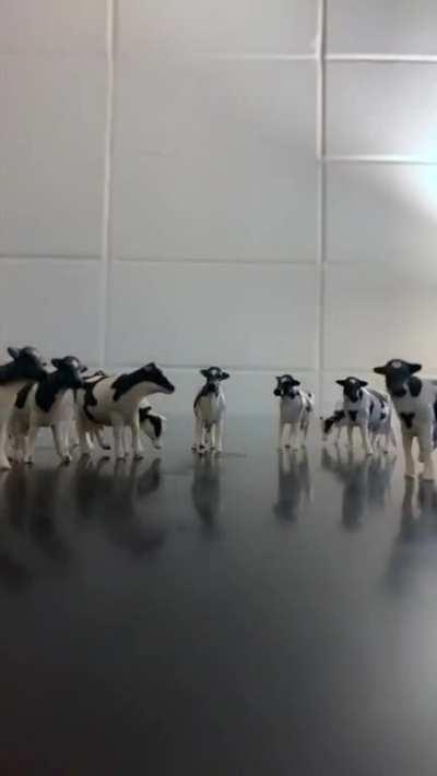 Animators working together during quarantine