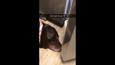 Aquela estacionada milimétrica