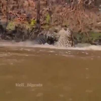 Majestic and terrifying