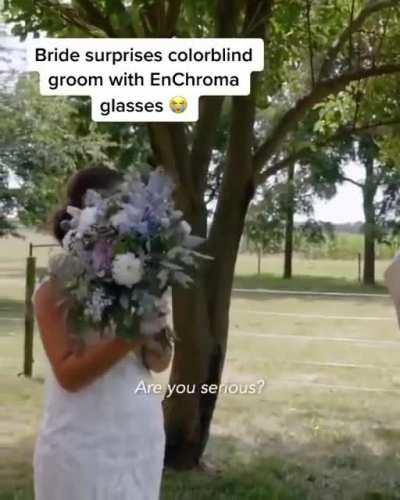 A colorblind groom sees life in color for the first time.