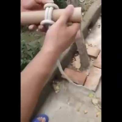 A guide to different types of knots.