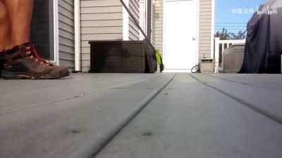 If DIO was a raccoon