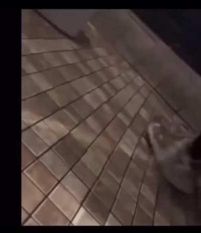 Here's some garbage to waste your time, enjoy.