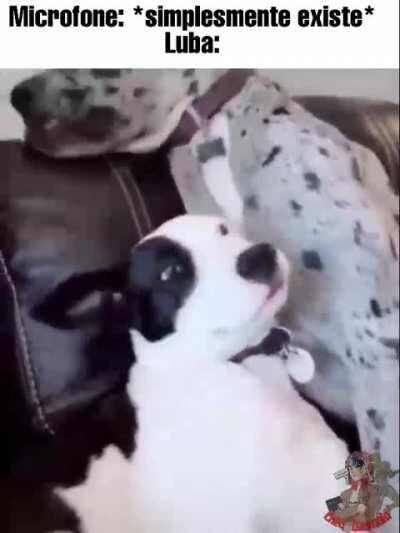 Não sei o que escrever. (Sim, o selo é meu)