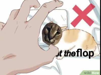 Haha bad and unfunny edit go brrrrr