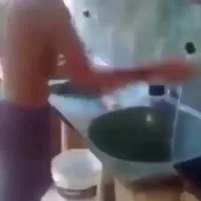 A ignorância é uma virtude