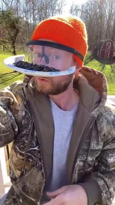 How to see birds up close