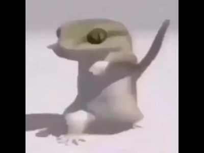 POV: you won't see the LA