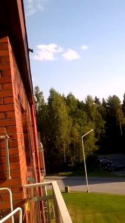 I think we're gonna have to allow this here.