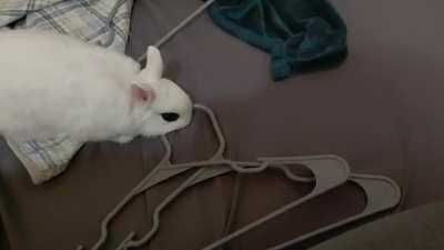 He likes to help me put away clothes.