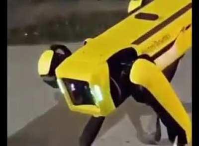 Ayo who dog this bruh 💀