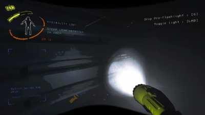 Was testing mods in Lethal Company. Found out that this one for SURE works