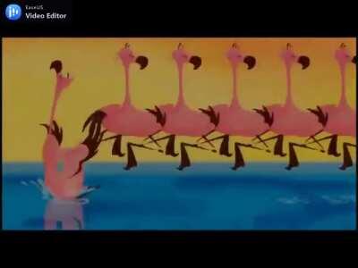Disney Fantasia Flamingo Loop