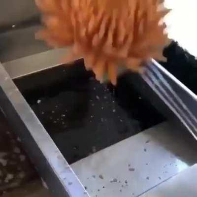 ANYONE FOR A MEGA FRIED ONION SNACK?