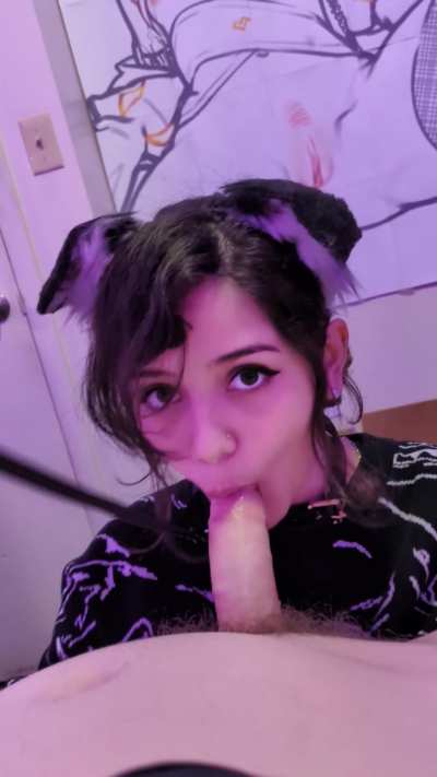 be sure to leash train your puppy