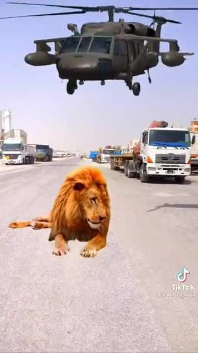 Absolute giga Chad makes everything around him explode!