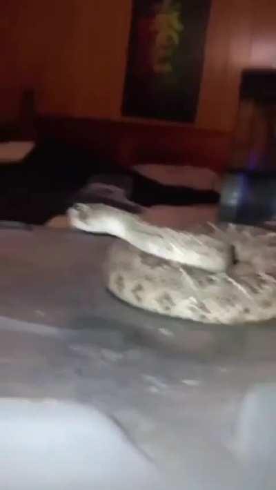 The Great Southern Trendrizz