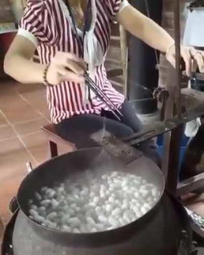 Сбор шелка из коконов шелкопряда
