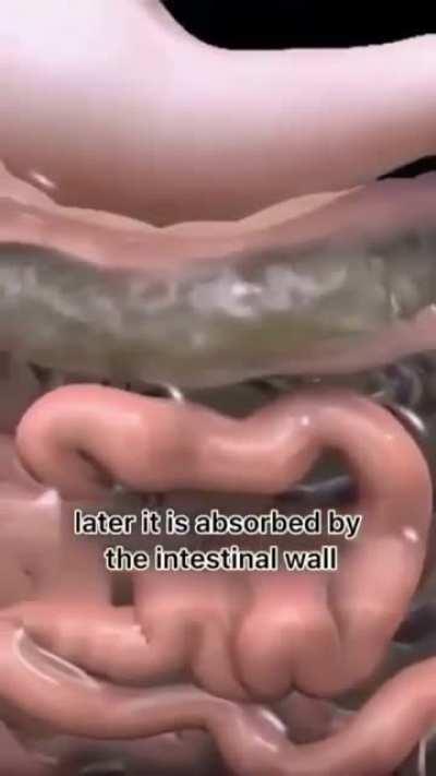 Thanks, I hate exhaling farts