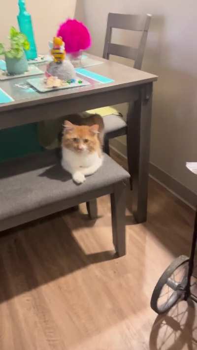 Another episode in the life of Ito aka King Ping