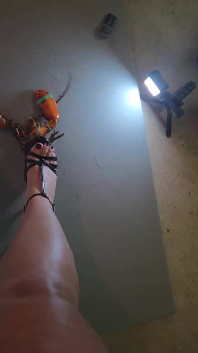 Getting to know one another