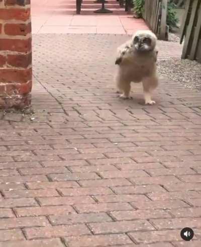 You guys… Watch what I can do