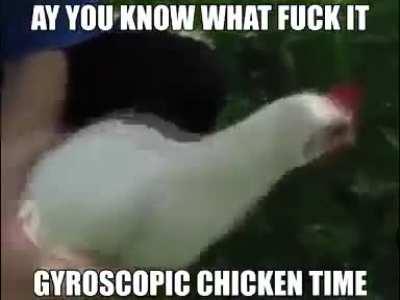 CHICKEN!!!! 🐔🐔