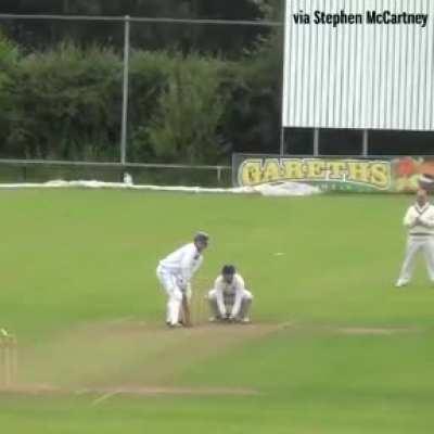 Village cricket at its very best.