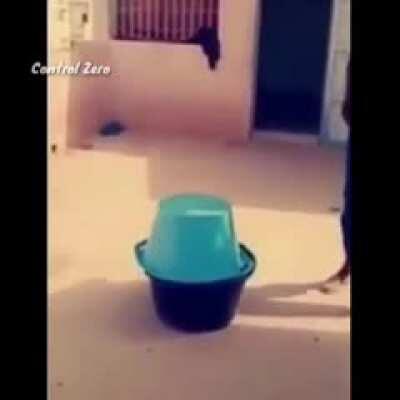 Ta piola la nueva actualización de cyberbug