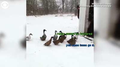 haha another multi lobby meme