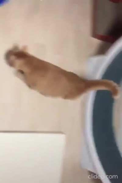 That's enough for today